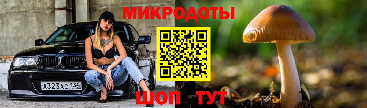 Галлюциногенные грибы мицелий  Вход с VPN  Новоалтайск 
